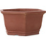 Maceta hexagonal sin esmaltar para bonsái de Shibakatsu - 170 x 170 x 83 mm