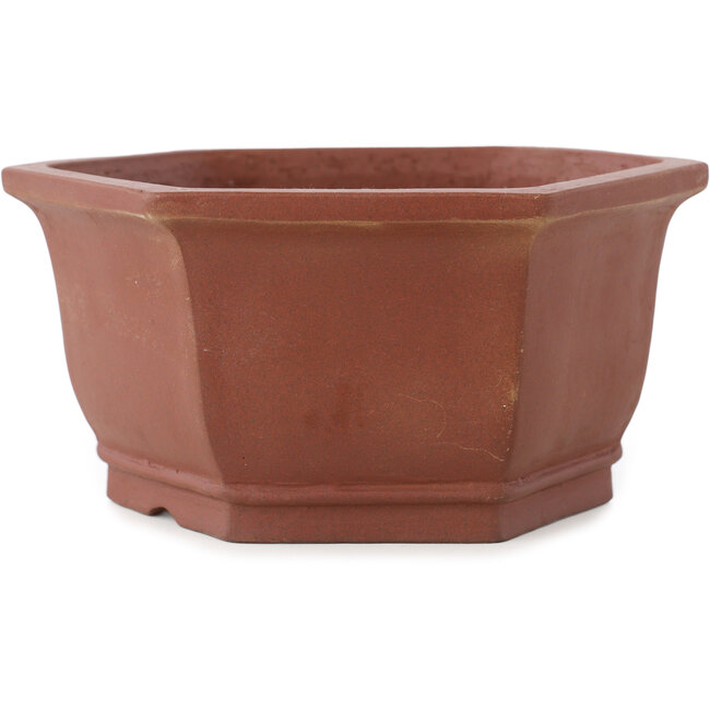 Vaso bonsai esagonale non smaltato di Shibakatsu - 170 x 170 x 83 mm