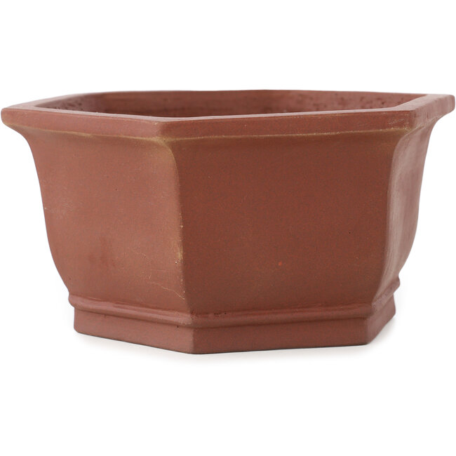 Maceta hexagonal sin esmaltar para bonsái de Shibakatsu - 170 x 170 x 83 mm