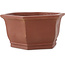 Maceta hexagonal sin esmaltar para bonsái de Shibakatsu - 170 x 170 x 83 mm