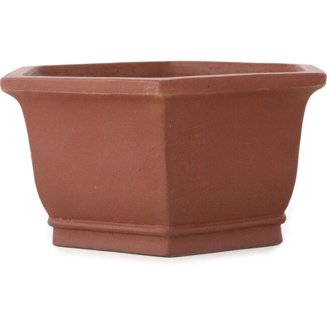 Vaso bonsai esagonale non smaltato di Shibakatsu - 170 x 170 x 83 mm