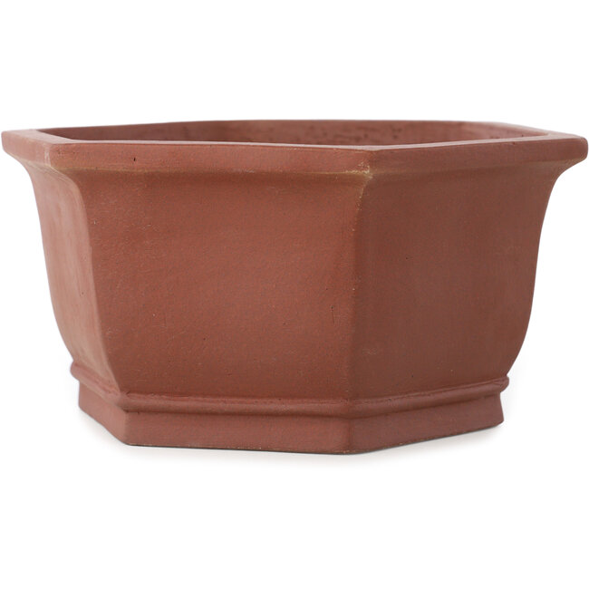 Hexagonal unglazed bonsai pot by Shibakatsu - 170 x 170 x 83 mm