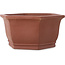 Maceta hexagonal sin esmaltar para bonsái de Shibakatsu - 170 x 170 x 83 mm