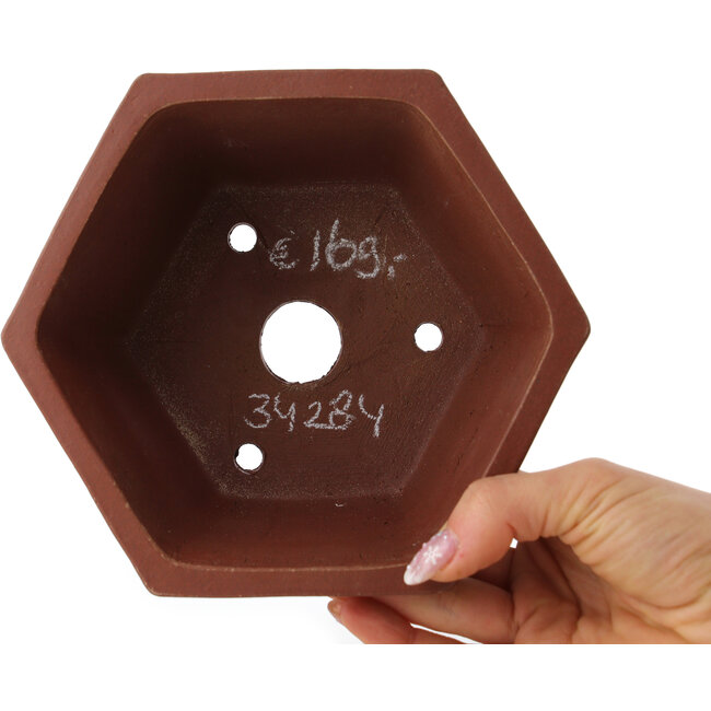 Hexagonal unglazed bonsai pot by Shibakatsu - 170 x 170 x 83 mm