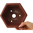 Maceta hexagonal sin esmaltar para bonsái de Shibakatsu - 170 x 170 x 83 mm