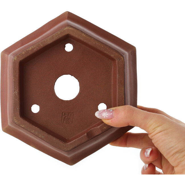 Zeshoekige ongeglazuurde bonsaipot van Shibakatsu - 170 x 170 x 83 mm