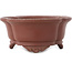 Vaso bonsai Mokko non smaltato di Shibakatsu - 160 x 135 x 60 mm