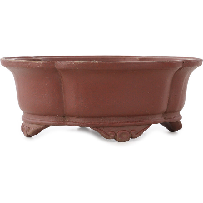 Vaso bonsai Mokko non smaltato di Shibakatsu - 160 x 135 x 60 mm