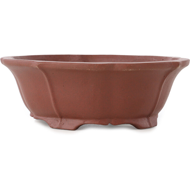 Maceta para bonsái sin esmaltar con forma de loto de Shibakatsu - 170 x 150 x 55 mm