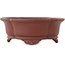 Mokko ongeglazuurde bonsai pot van Shibakatsu - 160 x 135 x 60 mm
