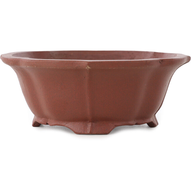 Vaso bonsai Lotus non smaltato di Shibakatsu - 170 x 150 x 55 mm