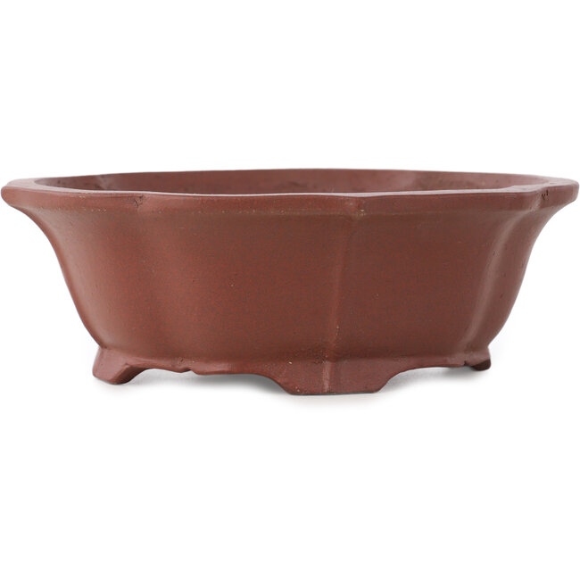 Lotus unglazed bonsai pot by Shibakatsu - 170 x 150 x 55 mm