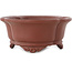 Mokko ongeglazuurde bonsai pot van Shibakatsu - 160 x 135 x 60 mm