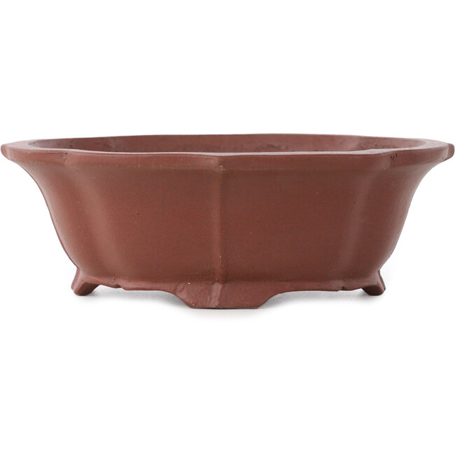 Pot à bonsaï Lotus non émaillé par Shibakatsu - 170 x 150 x 55 mm