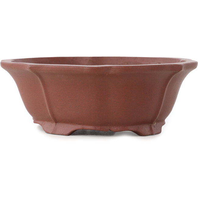 Maceta para bonsái sin esmaltar con forma de loto de Shibakatsu - 170 x 150 x 55 mm