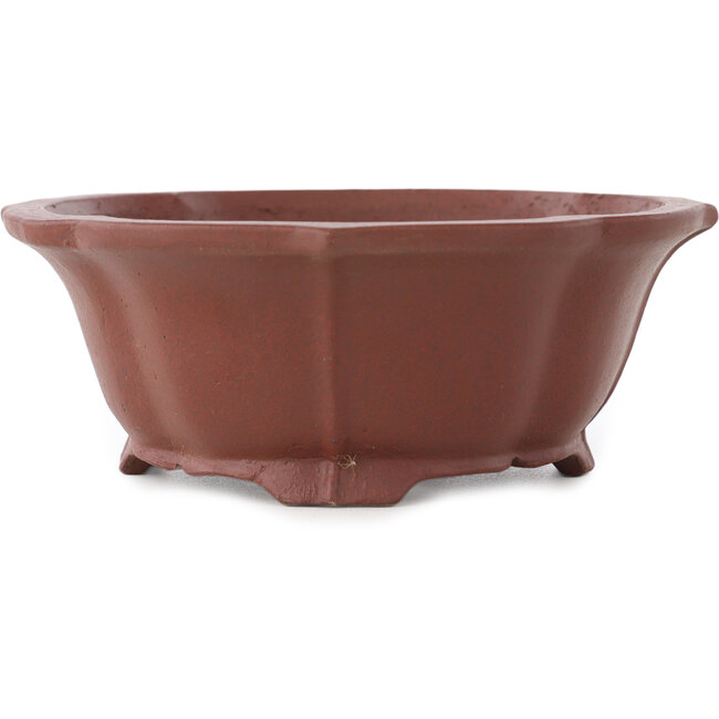 Lotus ongeglazuurde bonsai pot van Shibakatsu - 170 x 150 x 55 mm