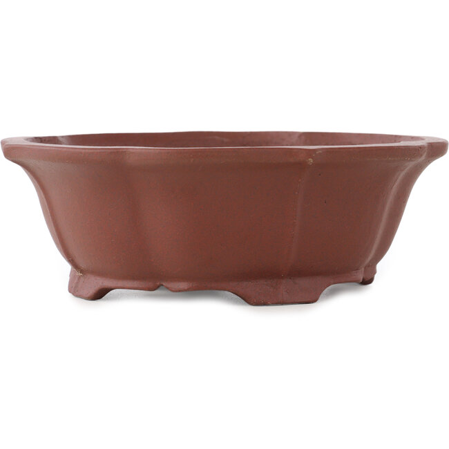 Pot à bonsaï Lotus non émaillé par Shibakatsu - 170 x 150 x 55 mm