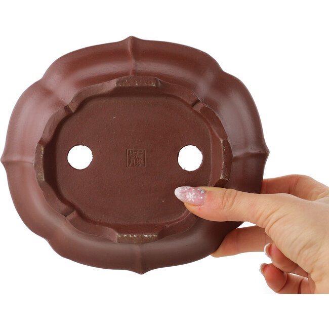 Maceta para bonsái sin esmaltar con forma de loto de Shibakatsu - 170 x 150 x 55 mm