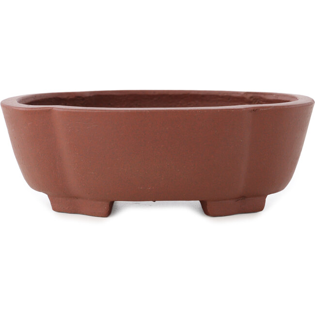 Vaso bonsai Mokko non smaltato di Shibakatsu - 160 x 132 x 53 mm