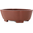 Vaso bonsai Mokko non smaltato di Shibakatsu - 160 x 132 x 53 mm