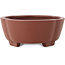 Vaso bonsai Mokko non smaltato di Shibakatsu - 160 x 132 x 53 mm