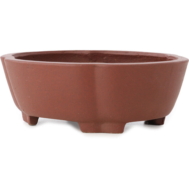 Pot à bonsaï non émaillé Mokko de Shibakatsu - 160 x 132 x 53 mm