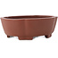 Vaso bonsai Mokko non smaltato di Shibakatsu - 160 x 132 x 53 mm