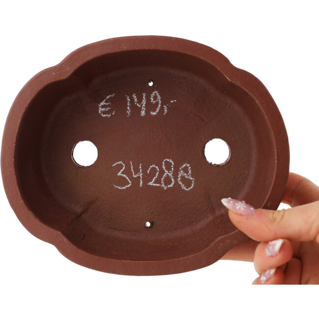 Vaso bonsai Mokko non smaltato di Shibakatsu - 160 x 132 x 53 mm