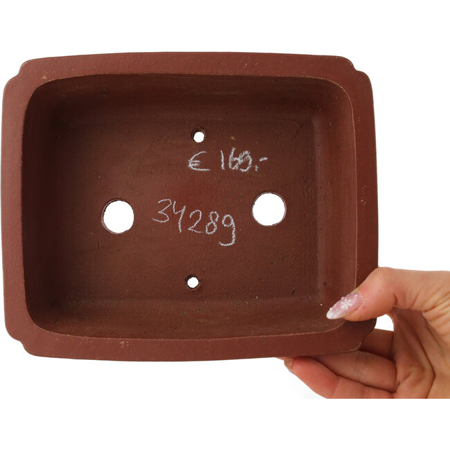 Maceta rectangular sin esmaltar para bonsái de Shibakatsu - 185 x 152 x 65 mm