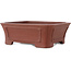 Maceta rectangular sin esmaltar para bonsái de Shibakatsu - 182 x 152 x 64 mm