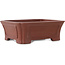 Maceta rectangular sin esmaltar para bonsái de Shibakatsu - 182 x 152 x 64 mm