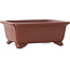 Maceta rectangular sin esmaltar para bonsái de Shibakatsu - 158 x 130 x 62 mm