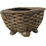 Pot à bonsaï carré non émaillé de Tani Ranzan - 55 x 55 x 38 mm