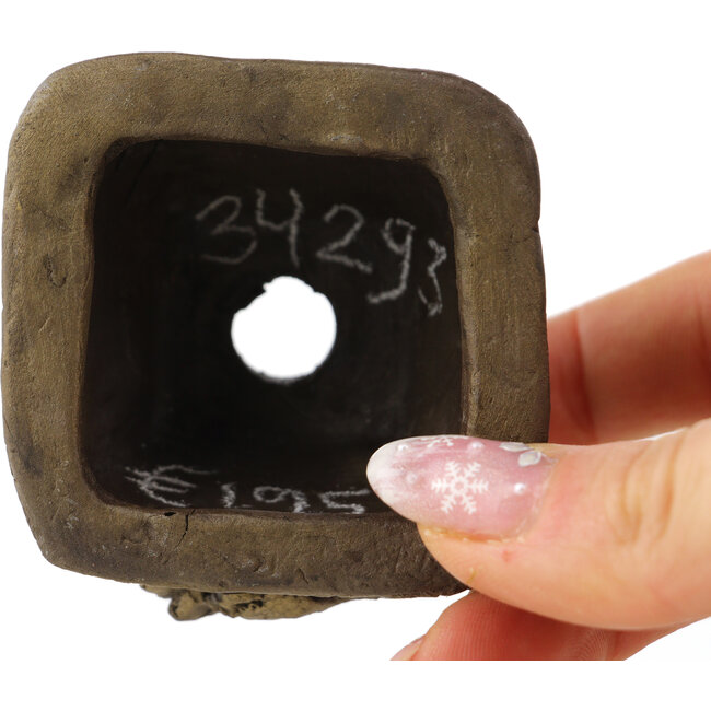 Vierkante ongeglazuurde bonsaipot van Tani Ranzan - 55 x 55 x 38 mm