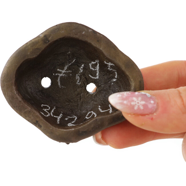 Maceta para bonsái sin esmaltar Mokko de Tani Ranzan - 60 x 52 x 25 mm