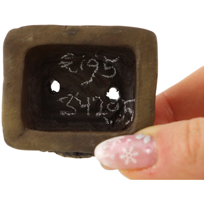 Rechthoekige ongeglazuurde bonsaipot van Tani Ranzan - 49 x 42 x 20 mm