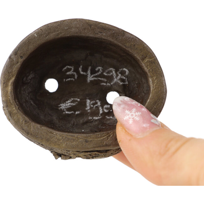 Vaso bonsai ovale non smaltato di Tani Ranzan - 60 x 47 x 20 mm