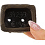Maceta rectangular sin esmaltar para bonsái de Tani Ranzan - 49 x 37 x 28 mm