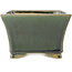 Vierkante groene bonsai pot van Shibakatsu - 140 x 135 x 90 mm