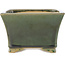 Vierkante groene bonsai pot van Shibakatsu - 140 x 135 x 90 mm