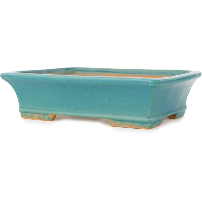 Rectangular blue bonsai pot by Shibakatsu - 195 x 145 x 50 mm
