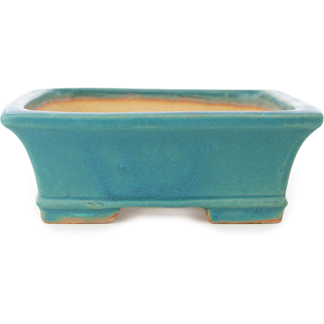 Vaso bonsai rettangolare blu di Shibakatsu - 195 x 145 x 50 mm