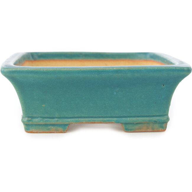 Maceta rectangular azul para bonsái de Shibakatsu - 195 x 145 x 50 mm