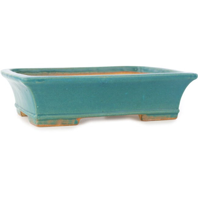 Rectangular blue bonsai pot by Shibakatsu - 195 x 145 x 50 mm