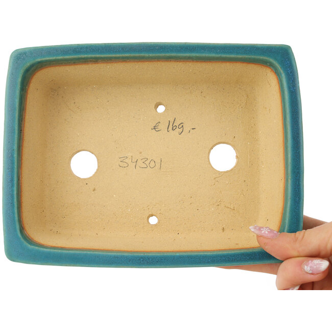 Maceta rectangular azul para bonsái de Shibakatsu - 195 x 145 x 50 mm