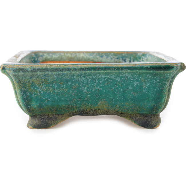 Maceta rectangular verde para bonsái de Koyou - 192 x 150 x 55 mm