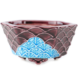 Tou Ai Maceta hexagonal de 75 mm en color rojo y azul para bonsái de Tou Ai, Kioto, Japón