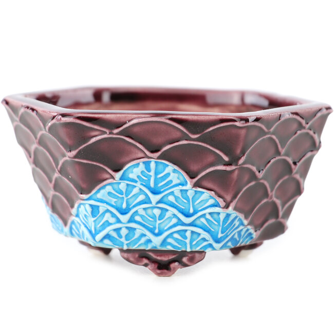 Pot à bonsaï hexagonal rouge et bleu de Tou Ai - 75 x 75 x 35 mm