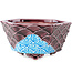Maceta hexagonal para bonsái de color rojo y azul de Tou Ai - 75 x 75 x 35 mm