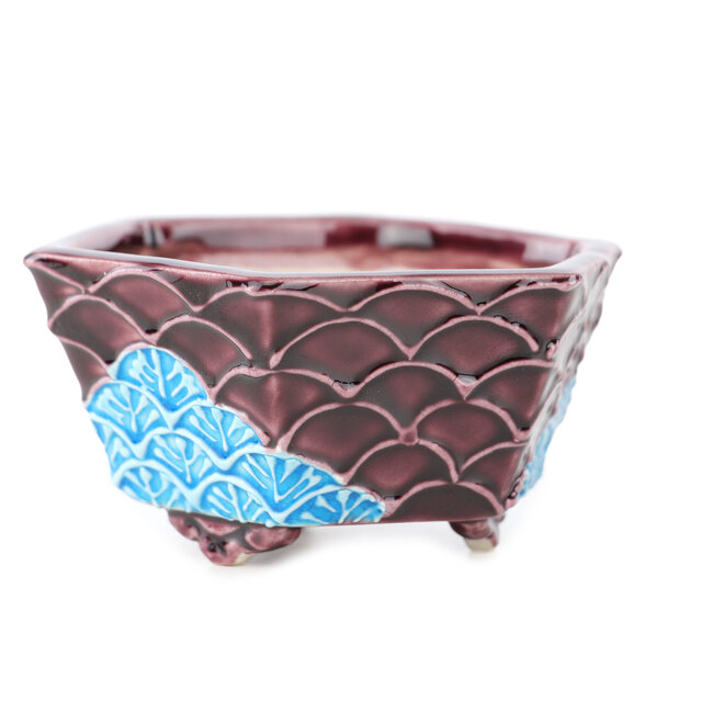 Zeshoekige rode en blauwe bonsaipot van Tou Ai - 75 x 75 x 35 mm